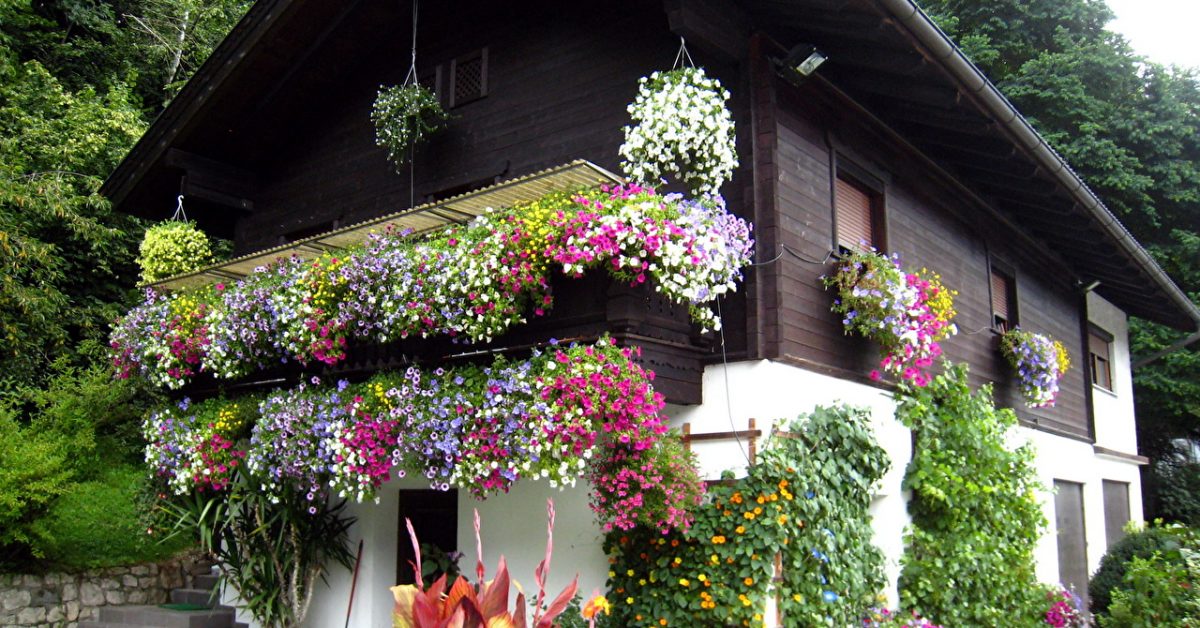 Как украсить дом цветами?